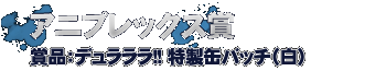 アニプレックス賞　・・・デュラララ!!特製缶バッチ（白）