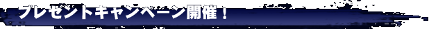 プレゼントキャンペーン開催!